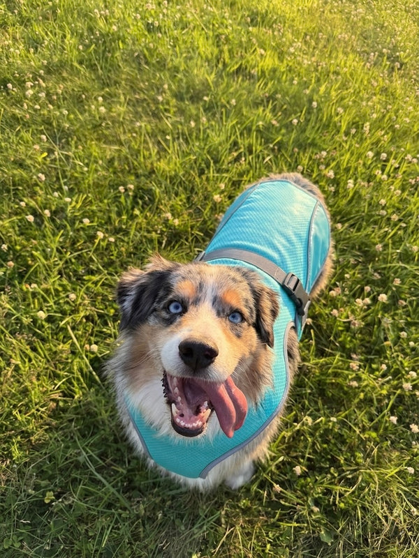 Sophie L.
