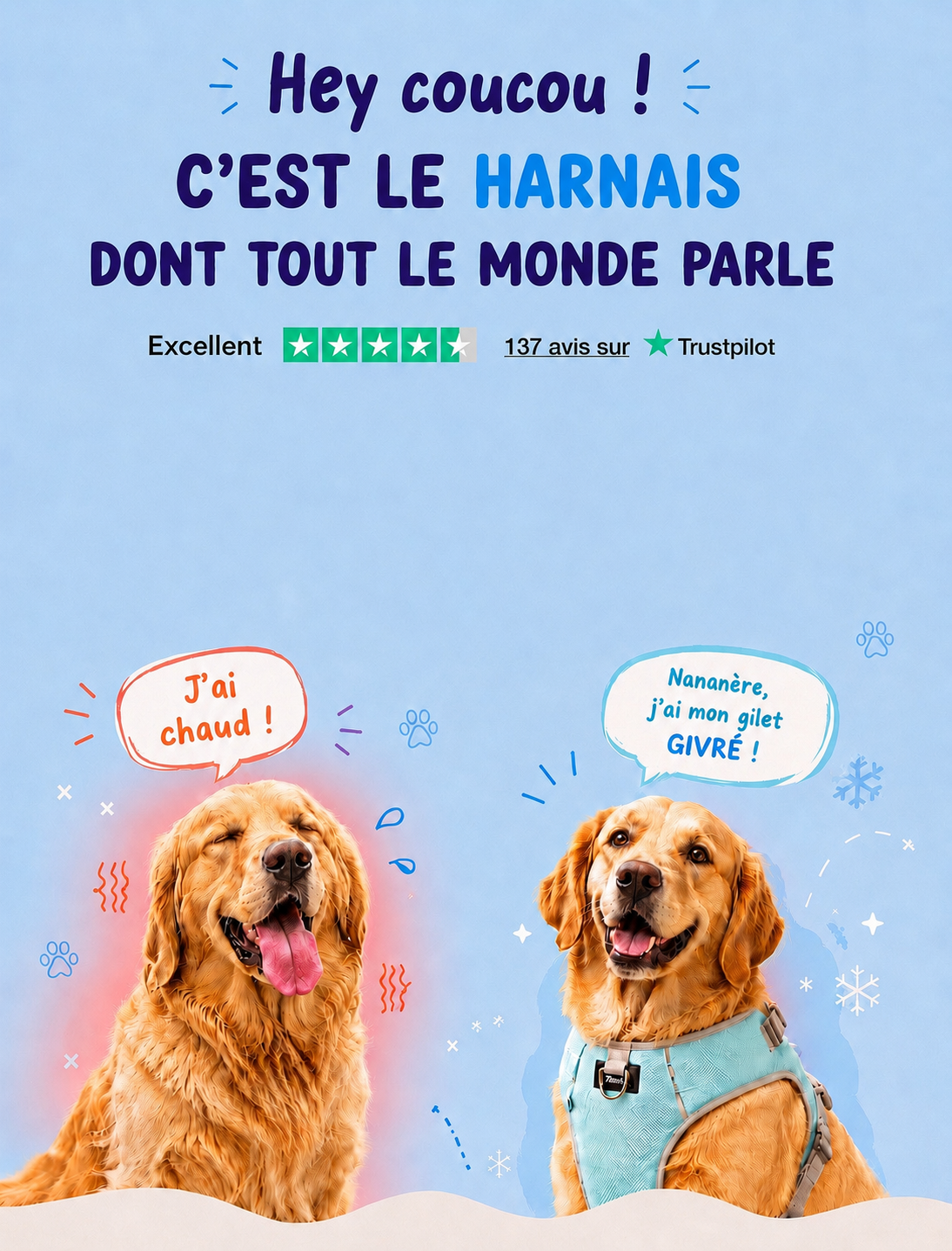Harnais rafraichissant Givre pour chien