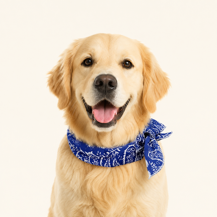 Bandana frais