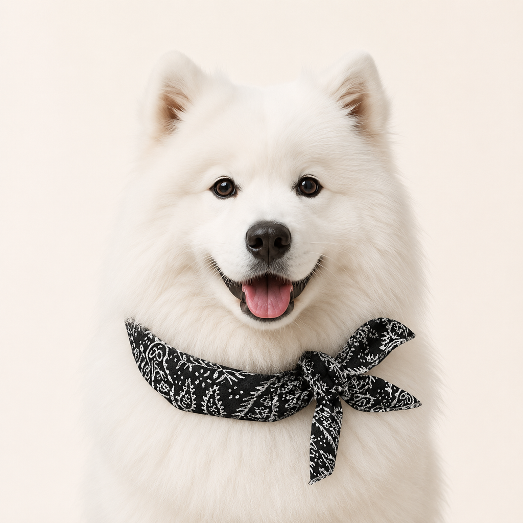 Bandana Rafraîchissant Givré – Anti-chaleur pour chien